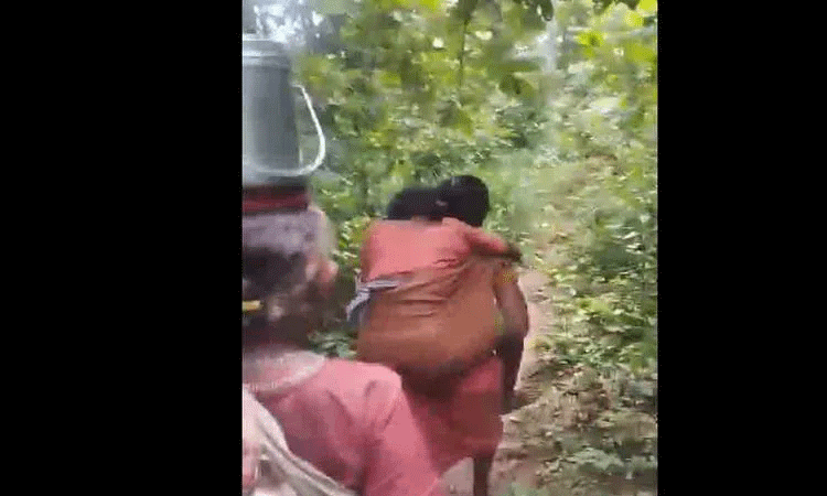 Girl Carries Snake Bitten Mother: తల్లిని కాటేసిన పాము.. భుజంపై 5 కిలోమీటర్లు మోసిన కూతురు