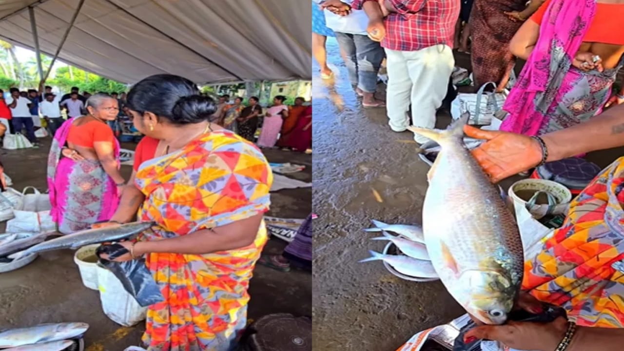 Pulasa Fish: వామ్మో.. ఈ పులస వెరీ కాస్ట్