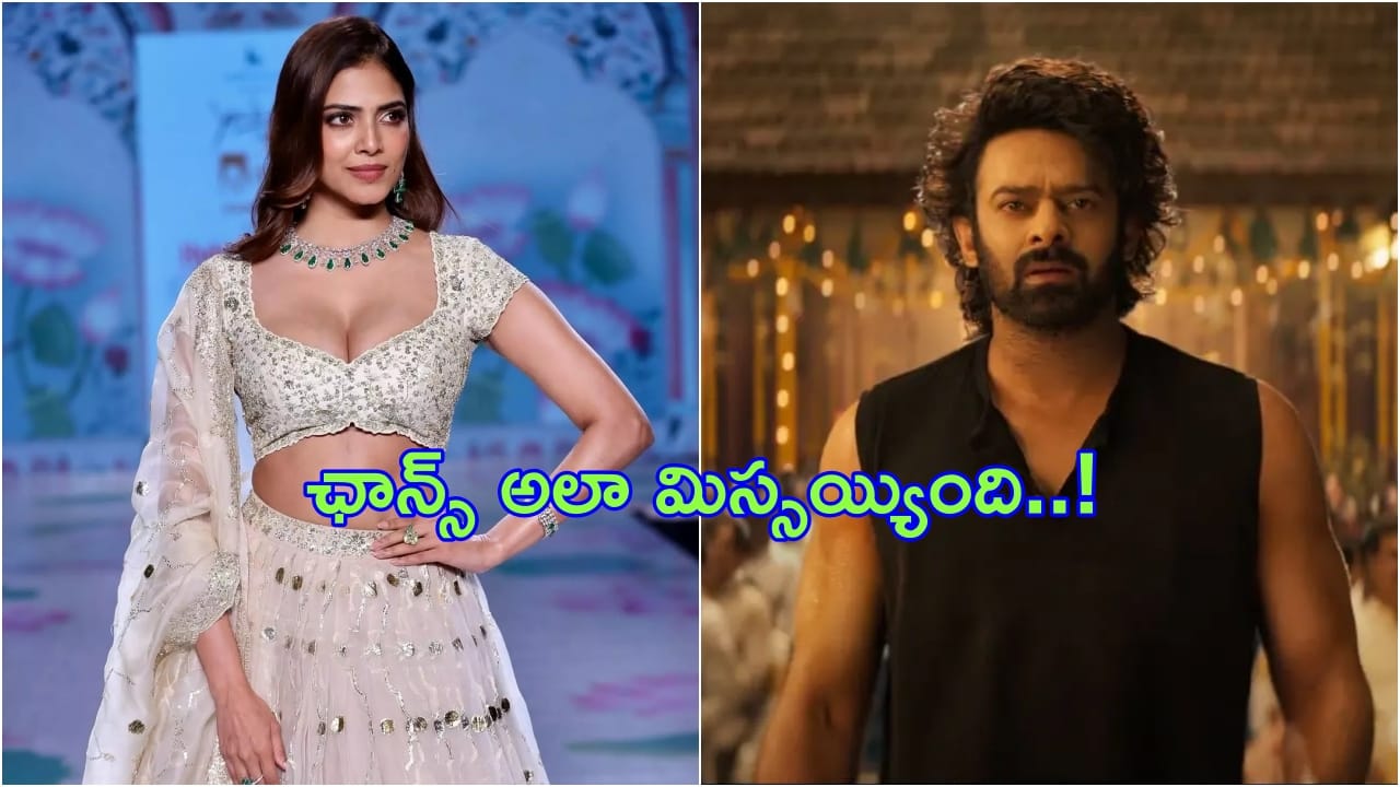 Malavika Mohanan on Prabhas: ప్రభాస్తో సినిమా ఎప్పుడో చేయాల్సింది.. ‘సలార్’ చాన్స్ మిస్ కావటంపై మాళవికా మోహనన్!