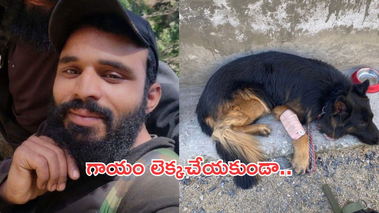 JammuKashmir:ఆపరేషన్ త్రాశి-1.. ఉగ్రవాదులను పట్టించిన ఆర్మీ జాగిలం
