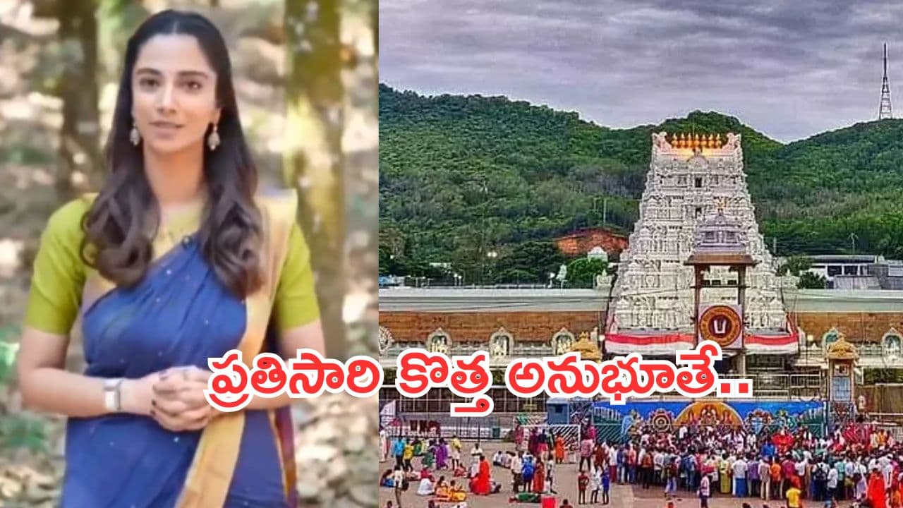 Actress Meenakshi Chaudhary:టీటీడీ సేవలపై నటి మీనాక్షి హర్షం.. ఎక్స్లో వీడియో పోస్టు