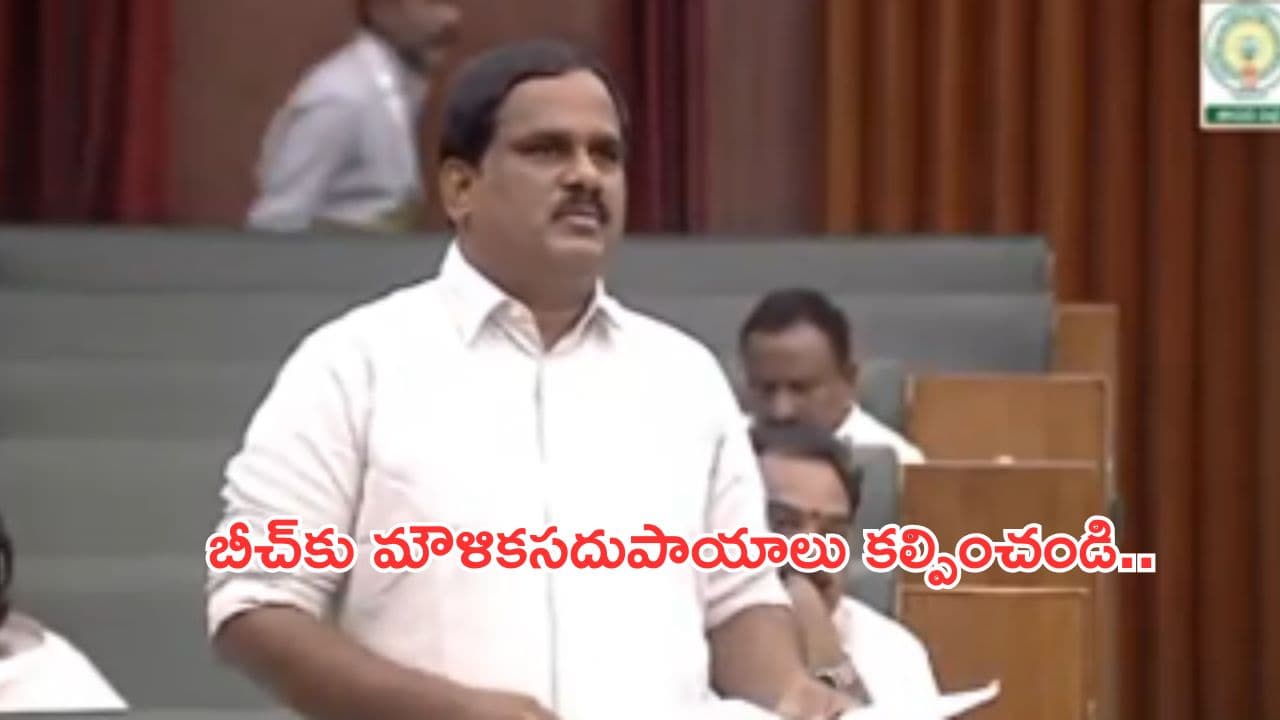 విశాఖ బీచ్కు మౌళిక సదుపాయాలు కల్పించాలి: శ్రీనివాస్ యాదవ్