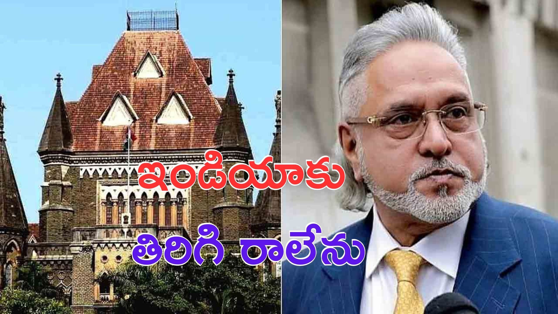 Vijay Mallya: నేను భారత్కు తిరిగిరాలేను: విజయ్ మాల్యా