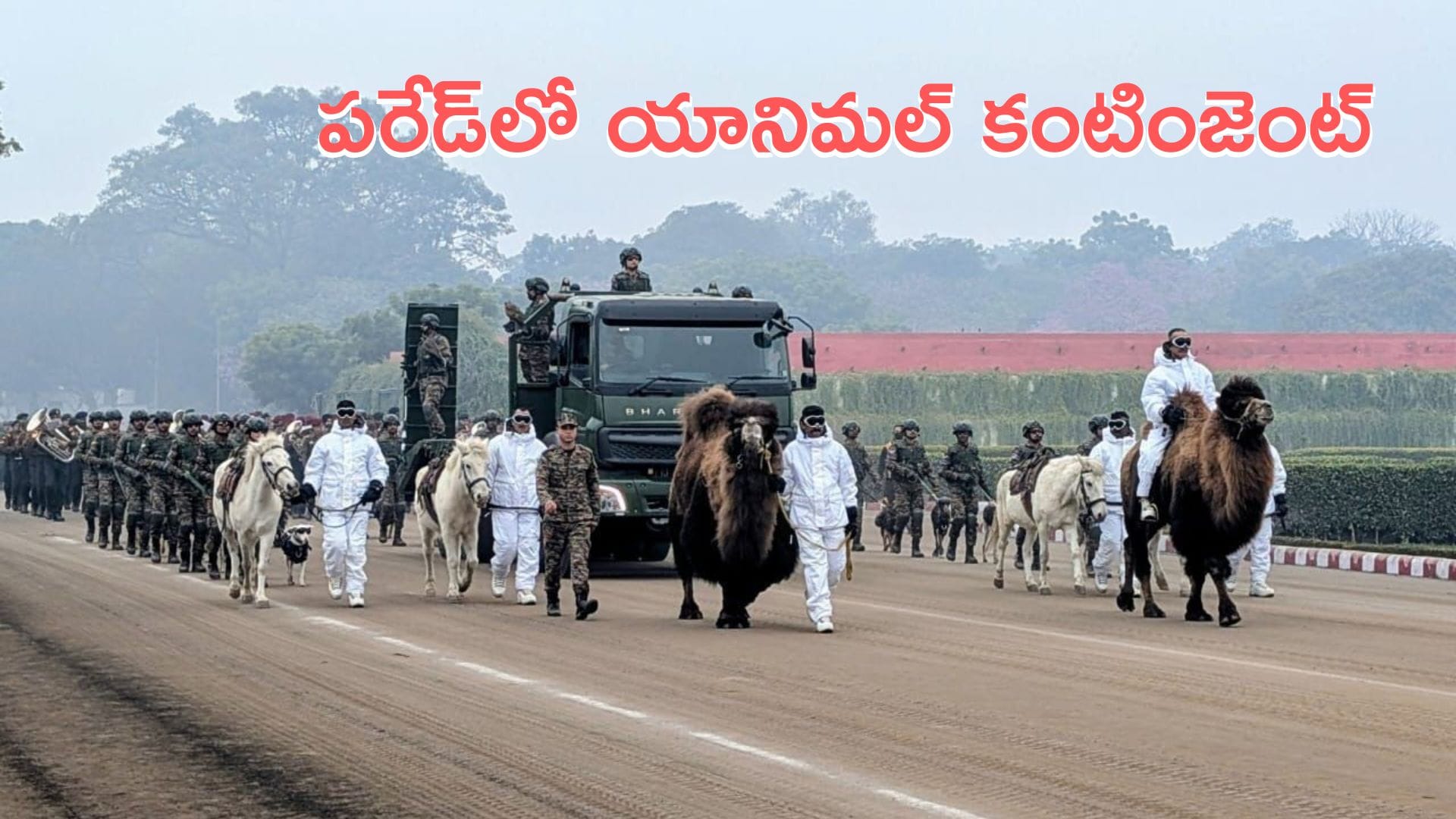 republic day celebrations 2026: ఈసారి రిపబ్లిక్ డే పరేడ్లో యానిమల్ కంటింజెంట్
