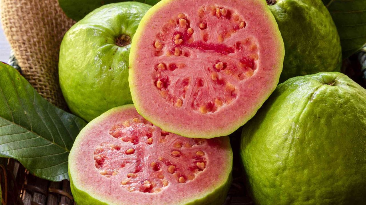 Guava Benefits: ఉదయం ఖాళీ కడుపుతో జామపండ్లు తింటే జరిగేది ఇదే..! తప్పక తెలుసుకోండి.!